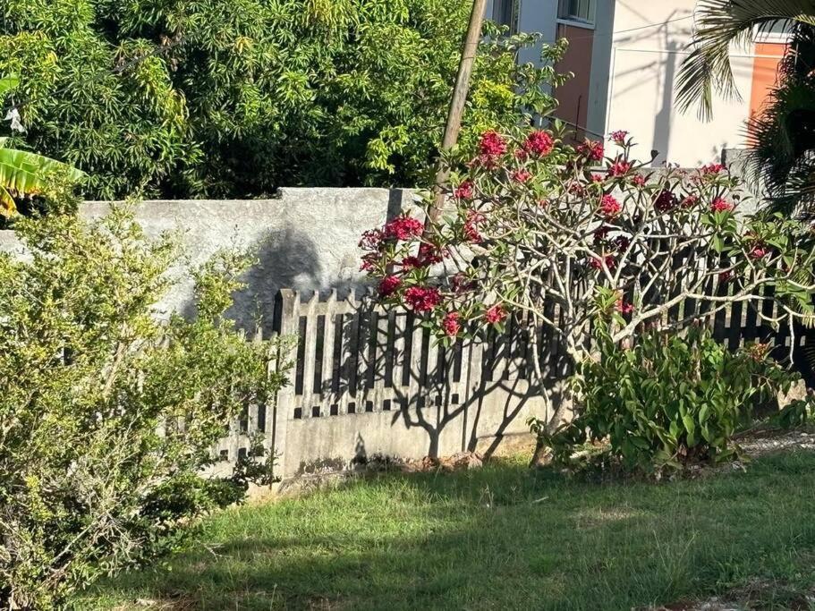 Villa Noo La لو روبرت المظهر الخارجي الصورة
